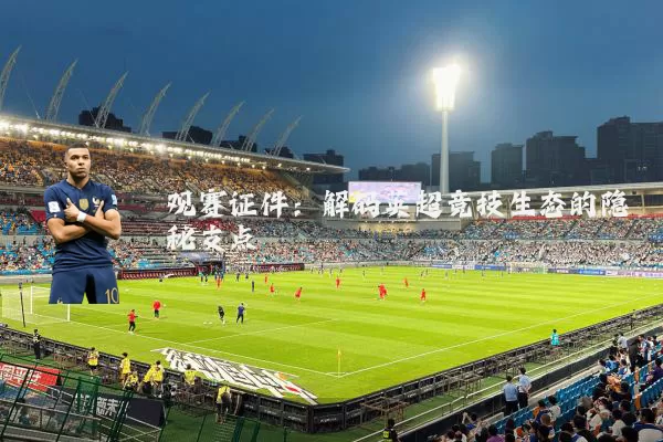 观赛证件:解码英超竞技生态的隐秘支点